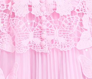 Pleated Skirt and 3D Butterfly Top Two Piece Set