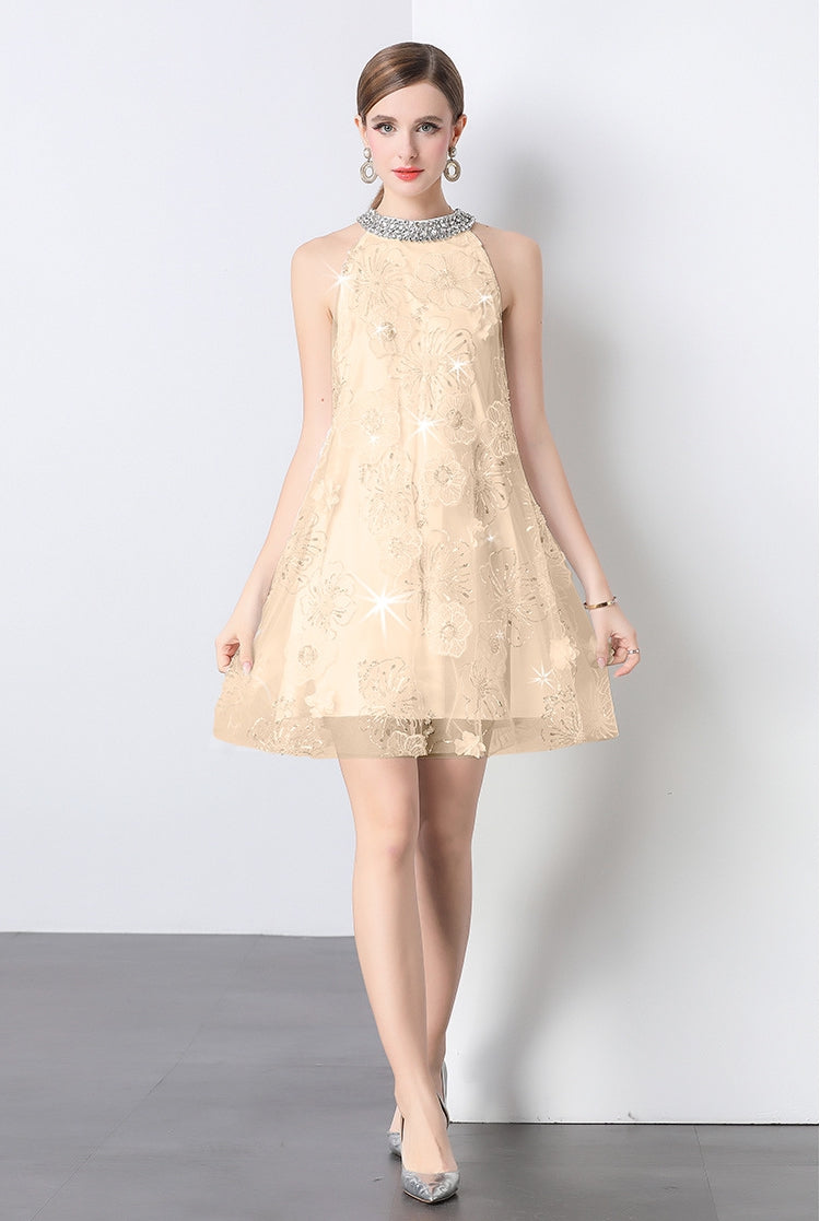 Golden Bloom Embroidered Party Dress - 903097354318_CHAMPANGE