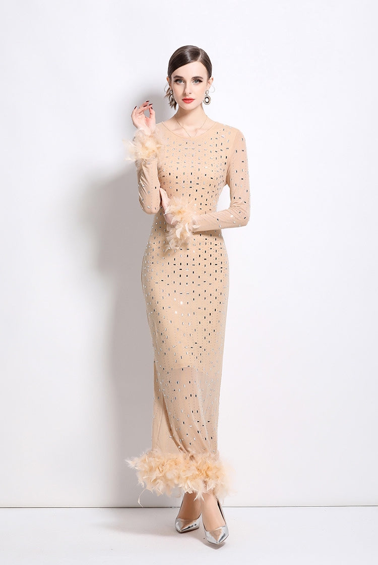 Heavy Embellished Stretchable Feather Sleeves Mesh Party Dress