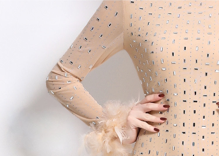 Heavy Embellished Stretchable Feather Sleeves Mesh Party Dress