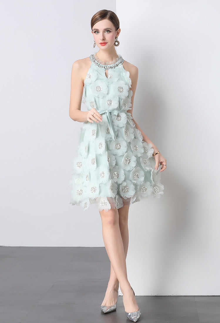Blossom Charm Sleeveless A-Line Dress