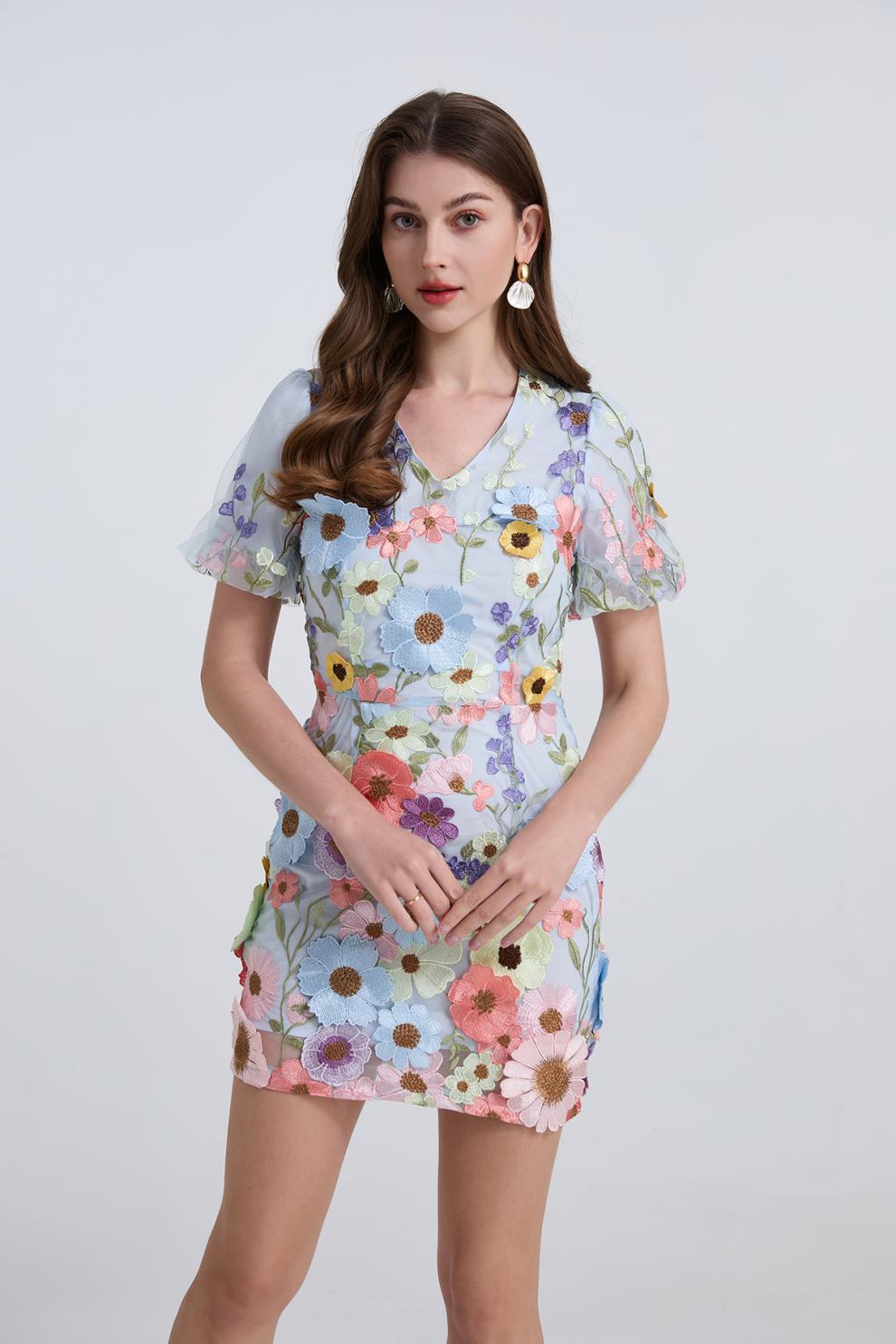 Sky Blue Floral Embroidered Mini Dress