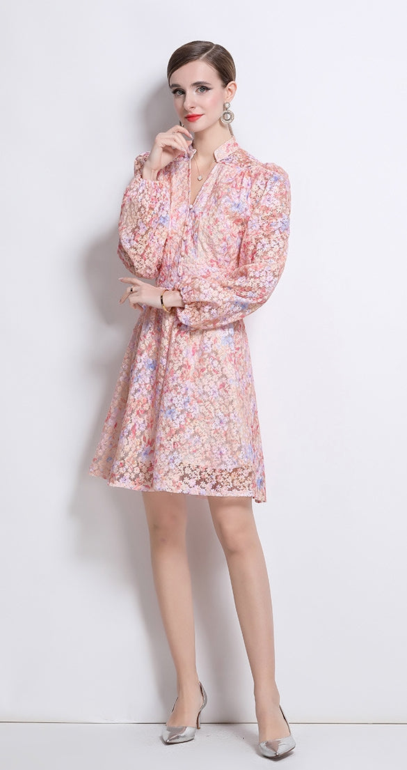 Blossom Lace A-Line Dress- 920435056806_PINK