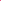 Radiant Rose Fit & Flare Party Dress
