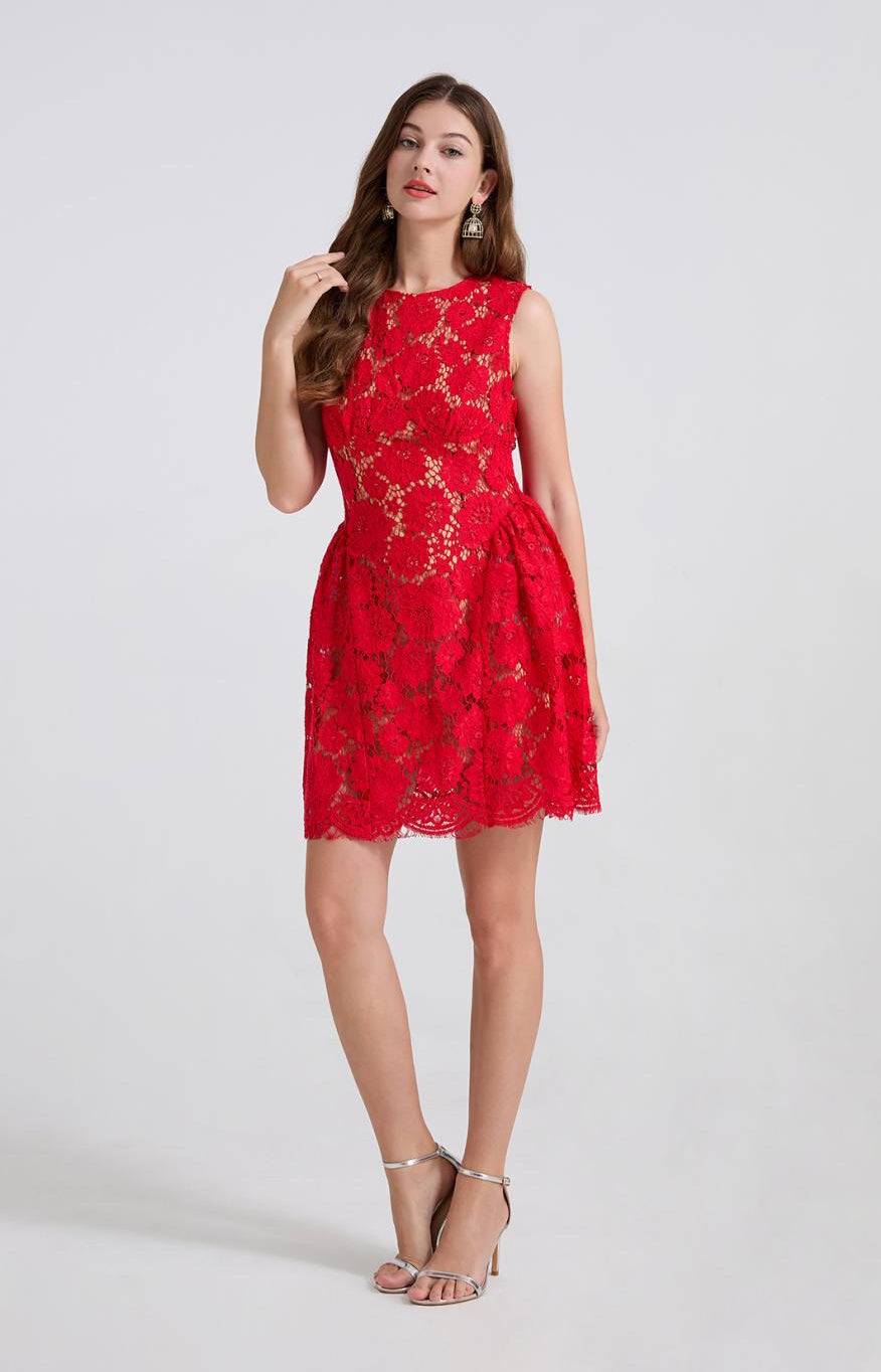 Scarlet Grace Lace Dress